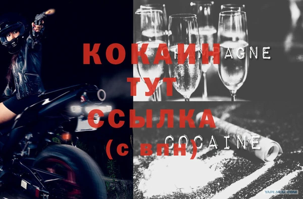 прущие грибы Навашино