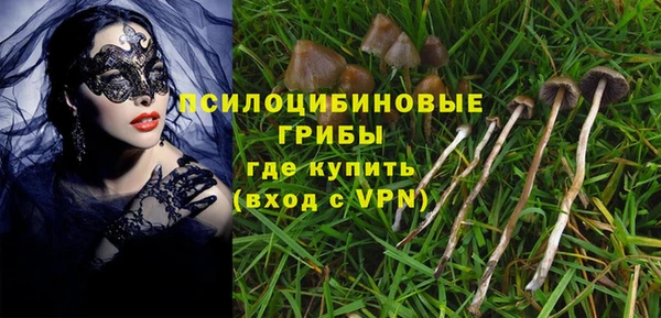 бошки Алзамай