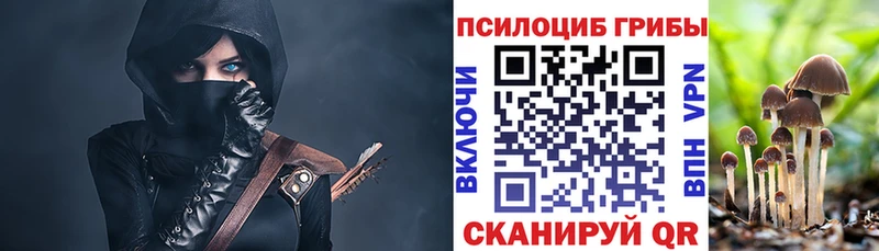 Псилоцибиновые грибы мицелий  наркошоп  Ессентукская 